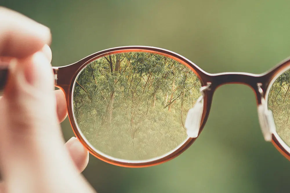 Greenwashing : ne vous faites plus duper