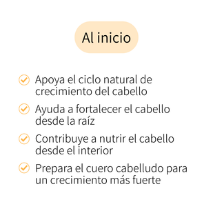 Redensifica tu cabello desde la raíz