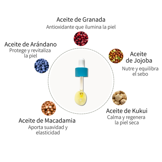 ingredients sérum nuit femmes ménopause périménopause rides hydratation