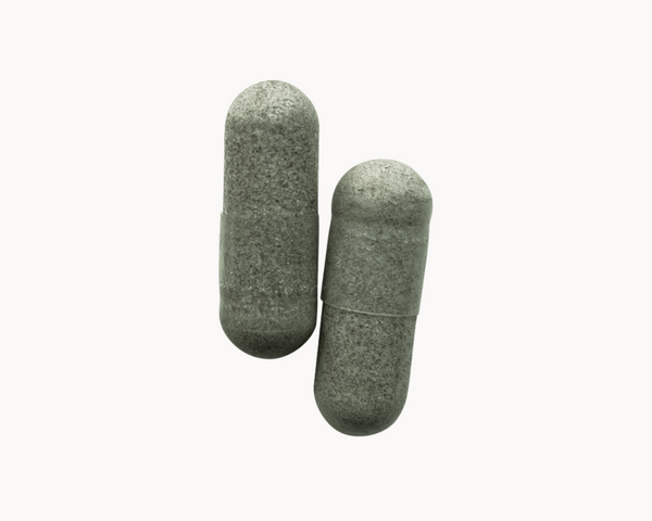 Todo lo que debes saber