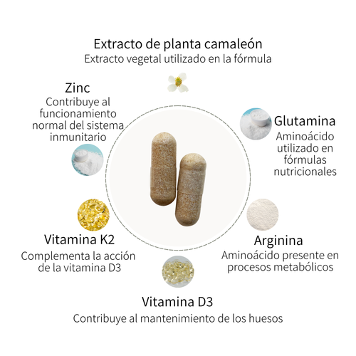 Complexe Immunité